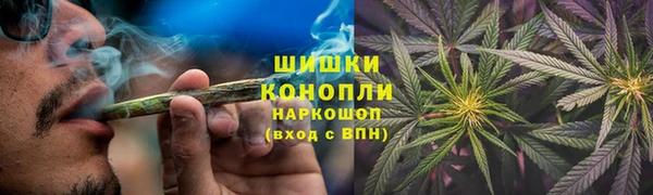 PSILOCYBIN Пересвет