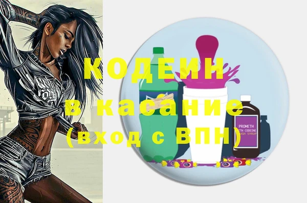 ПСИЛОЦИБИНОВЫЕ ГРИБЫ Арсеньев