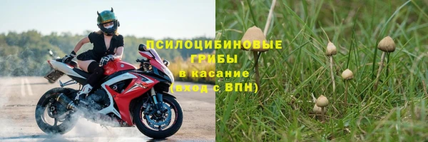 a pvp Пестово