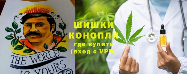 ПСИЛОЦИБИНОВЫЕ ГРИБЫ Арсеньев